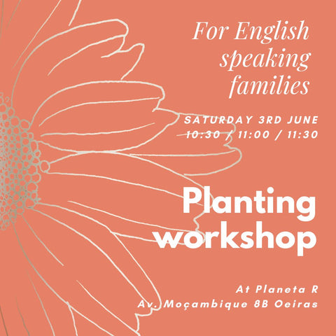Planting workshop for English-speaking families | 03/06/2023
