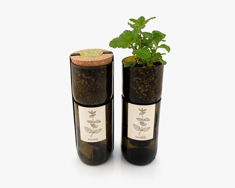 Grow Bottle Hortelã // Grow Bottle Peppermint