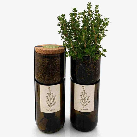 Grow Bottle Tomilho // Grow Bottle Thyme