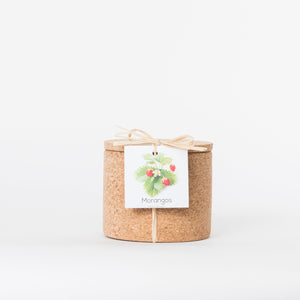 Grow Cork Morangos // Grow Cork Strawberry
